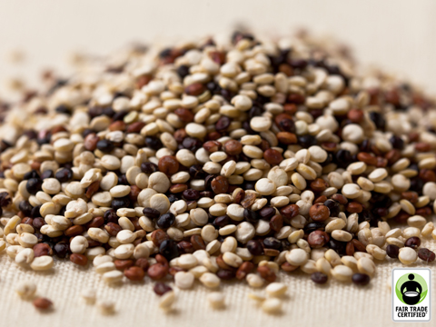 Quinoa Seed image